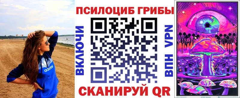 дарнет шоп  Константиновск  Галлюциногенные грибы Psilocybe 